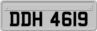 DDH4619