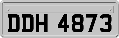 DDH4873