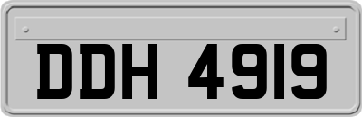 DDH4919