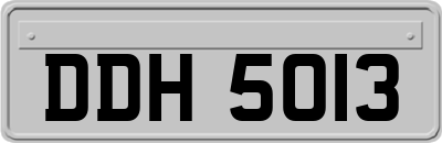 DDH5013