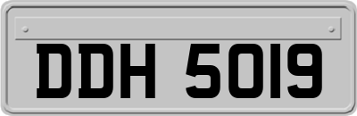 DDH5019