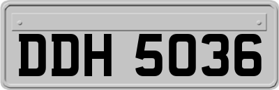 DDH5036