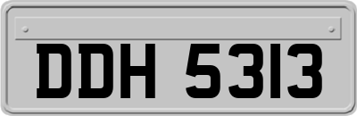 DDH5313