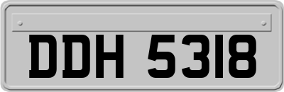 DDH5318