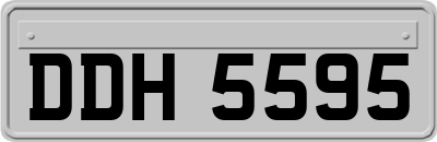 DDH5595