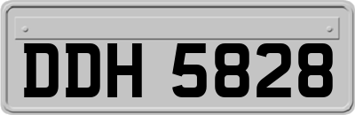 DDH5828