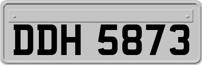 DDH5873