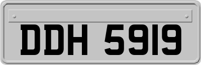 DDH5919