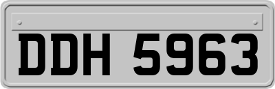 DDH5963