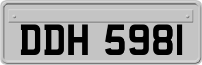 DDH5981