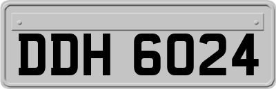 DDH6024
