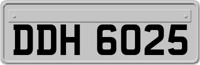 DDH6025