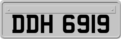 DDH6919