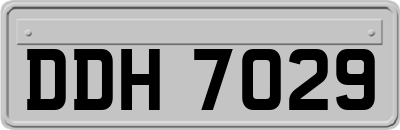 DDH7029