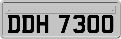 DDH7300