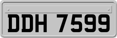 DDH7599