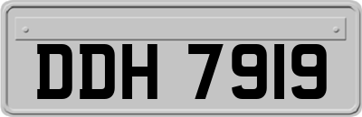 DDH7919