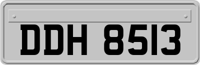 DDH8513