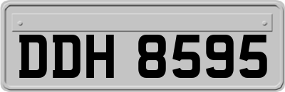 DDH8595