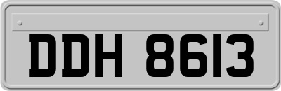 DDH8613