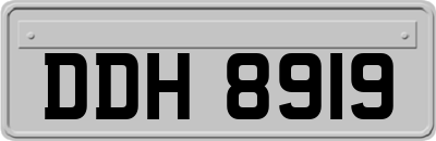 DDH8919