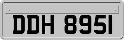 DDH8951