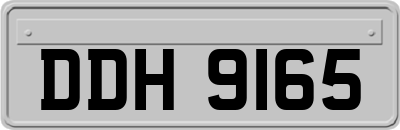 DDH9165