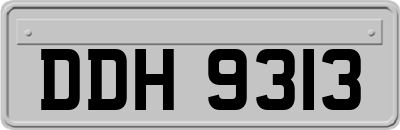 DDH9313