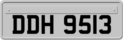DDH9513