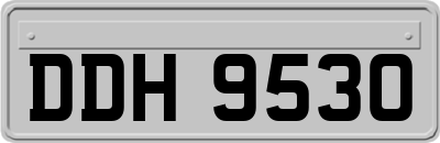 DDH9530