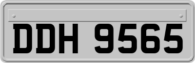 DDH9565