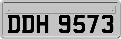 DDH9573
