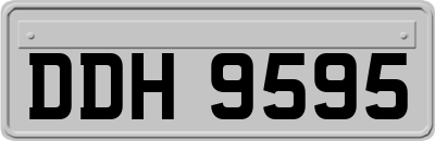 DDH9595