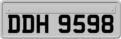 DDH9598