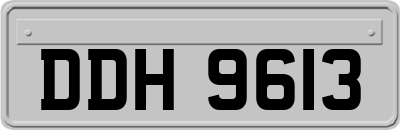 DDH9613