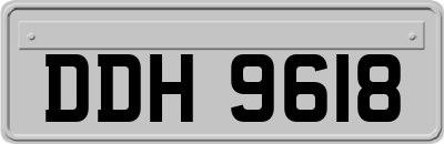 DDH9618