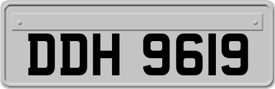 DDH9619