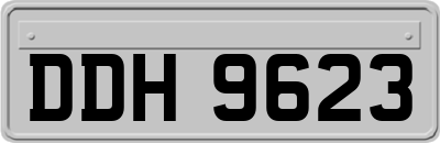 DDH9623