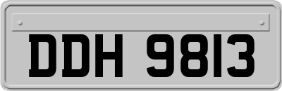 DDH9813