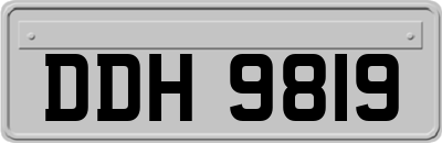 DDH9819