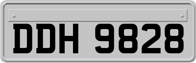 DDH9828