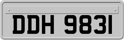 DDH9831