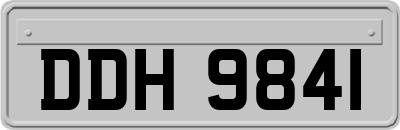 DDH9841