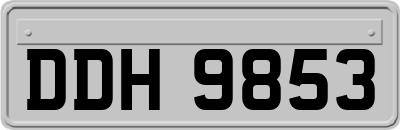 DDH9853