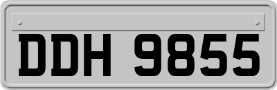 DDH9855