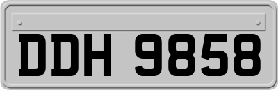 DDH9858
