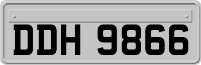 DDH9866