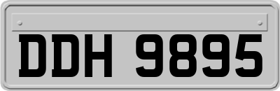DDH9895