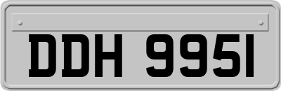 DDH9951
