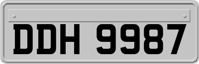 DDH9987
